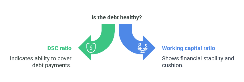 Is the Debt Healthy